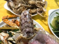 -老字号蛇口德记烧腊饭店·海鲜加工