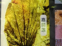 -嘉荫恐龙国家地质公园
