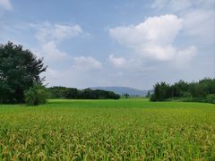 -良渚古城遗址公园