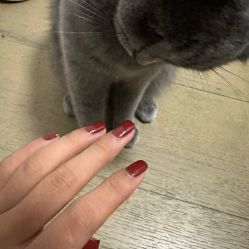 -悦指间美甲美睫