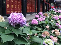 -古大圣慈寺