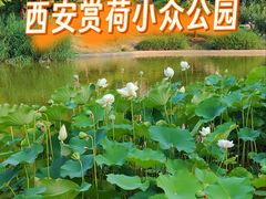 -木塔寺遗址生态公园