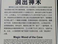 -木洞河街