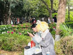 -西苑公园