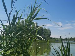 -马家湾湿地公园