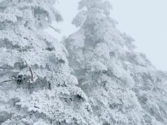 -瓦屋山景区