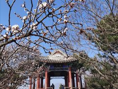 -香山公园