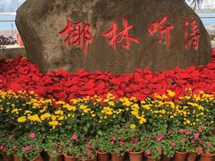 -万绿园