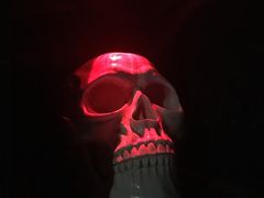 -秃鹫湾·推理大师沉浸式实景演绎推理剧场