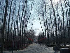 -仁和公园(顺义区)