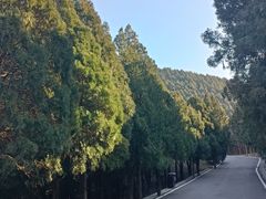 -佛慧山