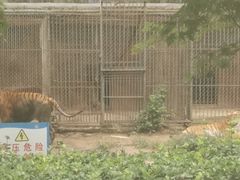 -秦皇岛野生动物园