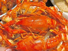 -京悦南门涮羊肉·羊蝎子火锅(田林路店)