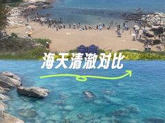 -广东惠东海龟国家级自然保护区