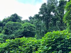 -大蜀山国家森林公园