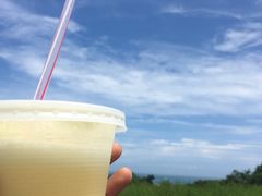-太鲁阁公园
