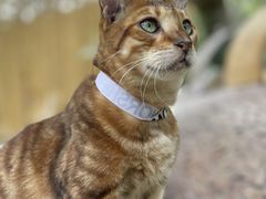 -楠溪江风景名胜区