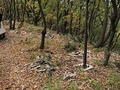 -帽儿山国家森林公园