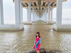 -宝安西湾红树林湿地公园