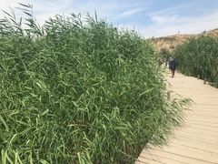 -水洞沟旅游区