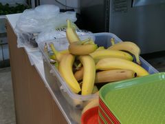 -四川农业大学(雅安校区)