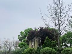 -白鹭湾湿地公园