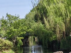 -乌镇景区
