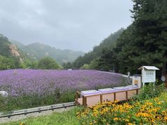-云峰山自然风景区
