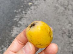 -上海浦东星河湾酒店