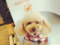 -八公叔叔宠物美容连锁(春申店)