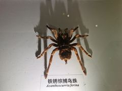 -武汉园博园(武汉自然博物馆)