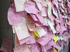 -雨霖祥和炖肉(南市店)