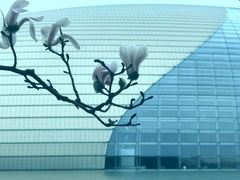 -东华门大街小区