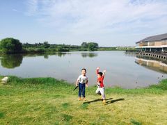 -崇明东平国家森林公园烧烤房车露营地