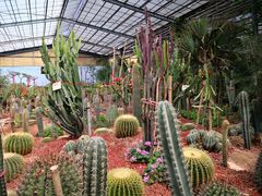-呀路古热带植物园