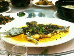 清蒸石斑鱼-百年食府(亦庄店)
