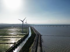 -上海长兴岛郊野公园