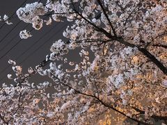 -永乐路-路侧停车场