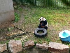 -沈阳森林动物园