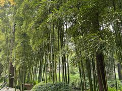 -成都杜甫草堂博物馆