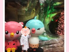 -杭州开元森泊度假乐园