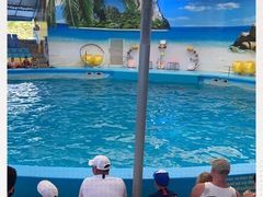 -尼莫海豚馆