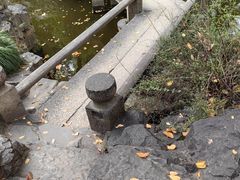 -秋霞圃