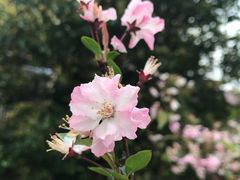 -菁汇公寓