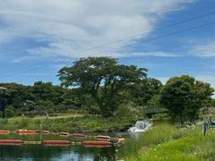 -济州森林小火车生态公园