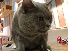 -小时光咖啡馆(开森度假森林店)
