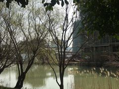 -长兴太湖图影湿地文化园