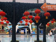 -海合安成都极地海洋公园