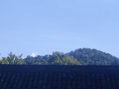 -虎跑公园