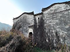 -祁门牯牛降观音堂风景区